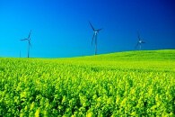 Turbine